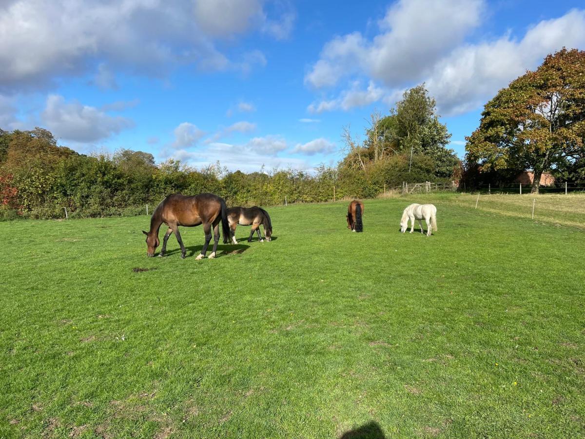 Wimbish Hall Cabins Bagian luar foto